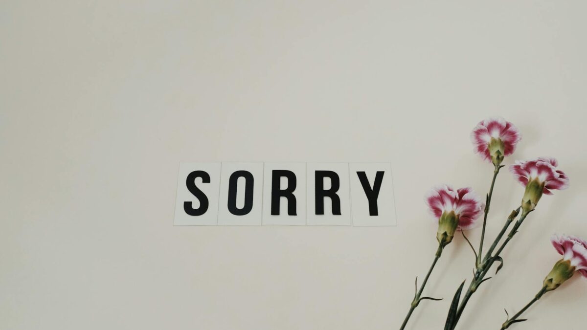 word sorry beside flowers on white surface