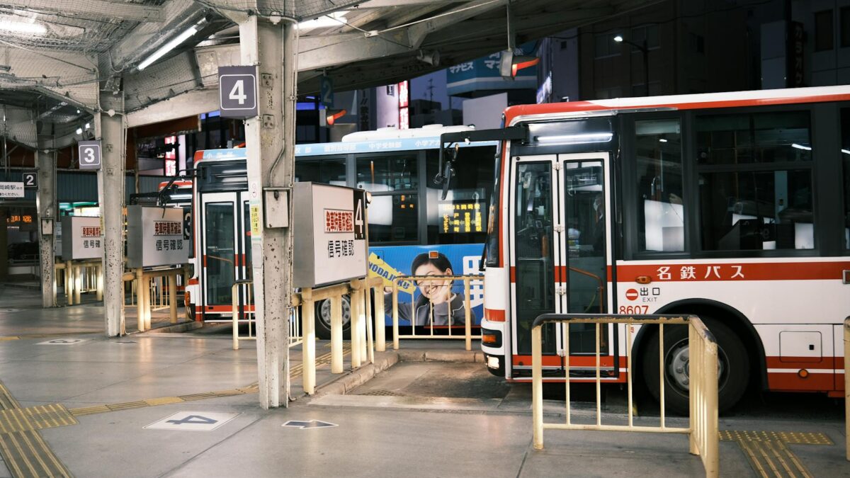 buses on a stop at night