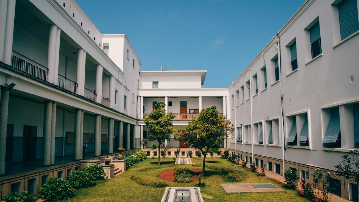 green trees between white concrete buildings