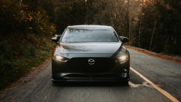 sleek black car driving through autumn forest
